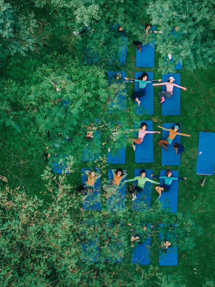 Yoga al amanecer